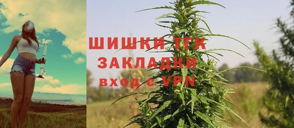 шишки Пестово